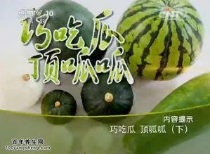 顶呱呱吃瓜 第1张 顶呱呱吃瓜 第1张